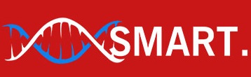 smart logo